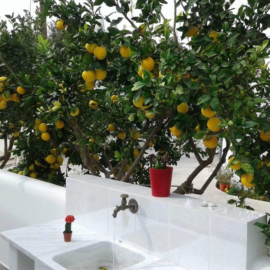Matilda Milos - Cycladic Living Apartment Triovasalos Ngoại thất bức ảnh
